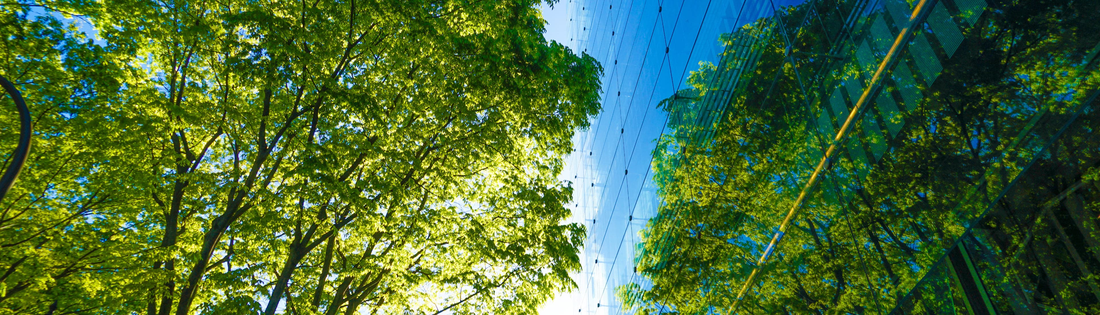 キービジュアル