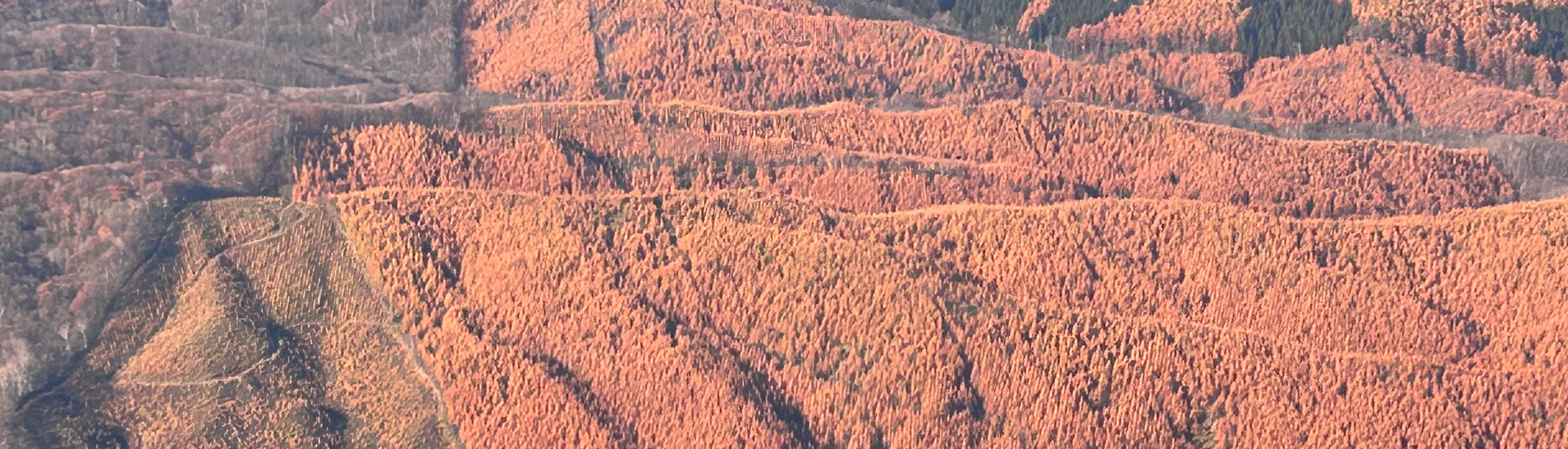 キービジュアル