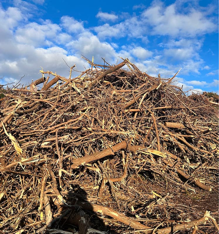 異常気象で発生した支障木や河川木を積極的に受け入れ、燃料として活用。